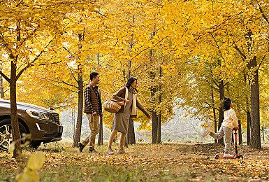 中国队勇夺“吃鸡”全球总冠军！奖金约880万元